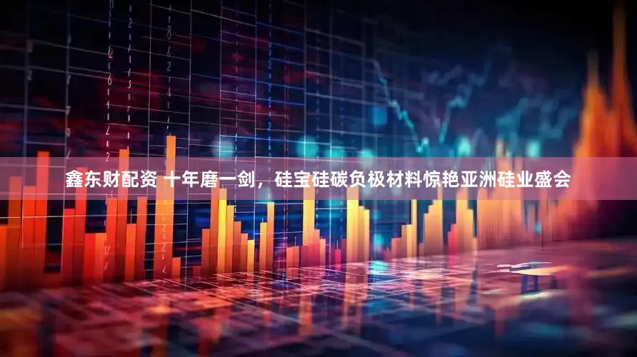 鑫东财配资 十年磨一剑，硅宝硅碳负极材料惊艳亚洲硅业盛会